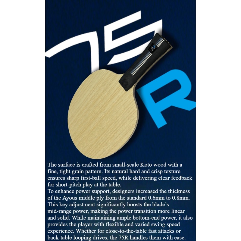 ไม้ปิงปอง SANWEI 75R 5+2 Outer - Table Tennis Blade บทวิจารณ์และราคา